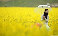 红海棠剧情介绍